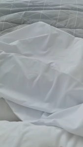 2 PCS Waterproof Smooth Pillow Cover Pillowcases Queen Size Pillow Protector with Zipper 20x30inch