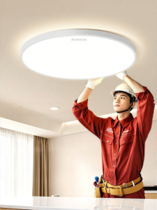 Chigo | Installation Included Whole House Modern Minimalist LED Ceiling Light