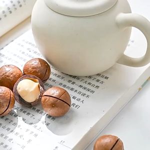 BUY 1 TAKE 1 Macadamia Nuts 30g Creamy Nuts Dried Fruit Snacks