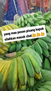 Buah Pisang Kepok Mentah Petik Tua Pohon 1 Sisir 1Kg