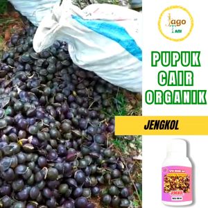 Pupuk Organik Cair Jengkol 100 Ml Booster Agar Berbuah Lebat dan Penggemuk By Jagotani Yogyakarta