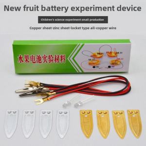 Fruit Battery DIY Science Experiment Kids Handwork Material Small Invention Children Educational Toy Physical Class Experiment
