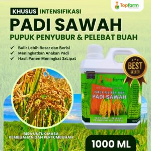 Pupuk Padi Sawah Terbaik / Pupuk Padi Sawah Terbaik / Pupuk Padi Semprot Penyubur / Pupuk Padi Pelebat Buah / Pupuk Cair Untuk Padi Sawah / Pupuk  Pembesar Buah Padi