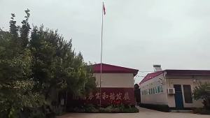 Senior Giày Vải Bắc Kinh Cũ Mùa Xuân Và Mùa Hè Giày Nam Công Sở Đế Cao Su Thấm Mồ Hôi Thoáng Khí Cho Nam Giày Vải Thủ Công Trực Tuyến