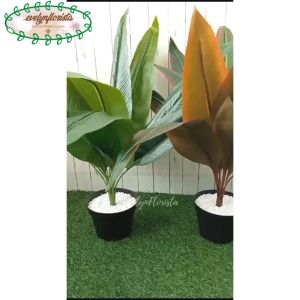 Pohon Artificial Tanaman Hias Kunyit Variasi Warna Hijau & Coklat Pot Dasar Pajangan Ruang Tamu