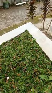 TOPLES KRISTAL Premium JEON Lima Bunga Toples Set Nampan Toples Kue Kering Toples Set Lebaran 5in1