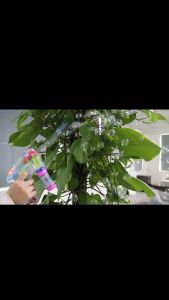 Mainan Pistol Air Sabun Automatik Bubble Gun Toys With LED Lights Toy For Kids and Children (Battery Included)