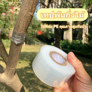 Longlong 3cm x 120m เทปพันกิ่งไม้ เทปพันกิ่งทาบ อุปกรณ์ตอนกิ่ง เทปติดตาต้นไม้ พลาสติกทาบกิ่ง