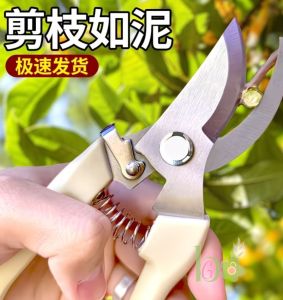 Pruning Garden Scissors Branches Durable Cutter 园艺剪刀/ Gunting