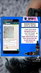 UBAT KUTU HAMA KUCING 🔥 Anjing Hamster Pet Mites Tick Pepijat Binatang Anjing Cat Dog Arnab - Pet Spray