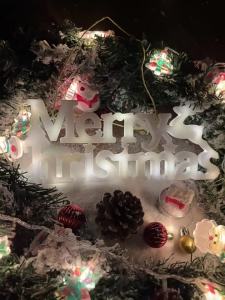 BEAUTY IN THE LIGHT | Christmas Decorative Lights & Creative Garland
