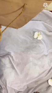 Dress Bayi Perempuan Set Lengkap Lucu-Gaun Tutu+ Bando + Sarung Tangan & Kaki | Baju Bayi 6-12 Bulan