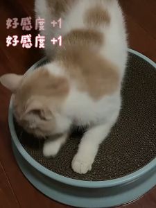 เล่นแมว ที่ฝน รูปปูน่ารัก ขนาด 31 cm สมุนไพรน้องแมว