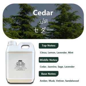 GAFERA 2000ml (67.6 fl.oz) Ritz-Carlton Vine Diffuser Supply Essential Oils - For Reed Diffuser & Fireless Fragrance Diffuser
