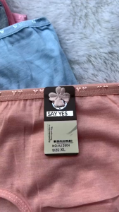 ISI 6 PCS Celana Dalam Wanita | CD Perempuan Remaja Dewasa | ART: 3200 - 3324 - 9901 - 9900