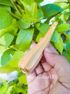 pipa pirok kayu kumuning model belimbing