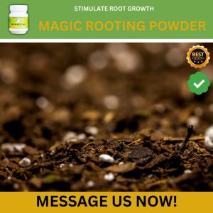RAPID GROWTH ROOTING POWDER FOR PLANTS (pampaugat ng halaman)
