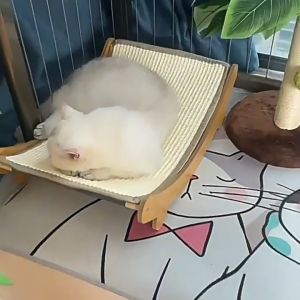 Cat scratching board cat sofa pet furniture multi-functional sisal cushion cat recliner chair damp proof cat nest scratching pad for cats cat bed with scratcher