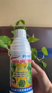 VIN THÁI AMIS 1 LÍT ĐẶC HIỆU NẤM KHUẨN RONG RÊU LEP LÉP HẠT LÉP ĐEN LÉP VÀNG