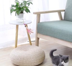 MEOW Cat Teaser Flexible Stick Pet Toy - Interactive Feather Toy for Cats and Small Dogs - Plastic Material - Affordable and Fun Mainan Kucing Murah