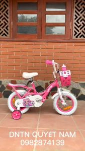 Xe đạp trẻ em Thống Nhất Princess TE12 (Phù hợp với trẻ từ 2 đến 6 tuổi)