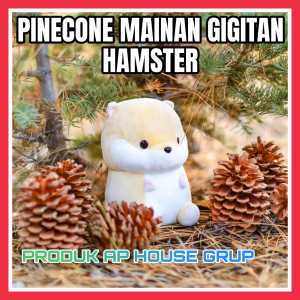 MAINAN GIGITAN HAMSTER PINECONE ( ISI 5 PCS)