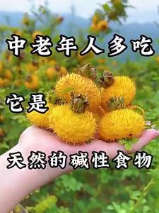 YIFANGYOUTA | Wild Sugar-free Preservative-free Thornberry Dried Fruit