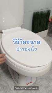 ส่งฟรี Elegance ฝารองนั่ง ทรงกลม มาตรฐาน รุ่น 990 ครบชุด ฝาส้วม ฝาชักโครก สามารถใส่ได้กับโถชักโครกหลากหลายยี่ห้อ Made in Thailand ฝาชักโครก Elegante - Lazada