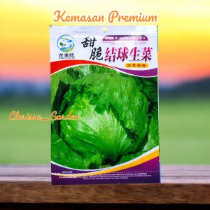 (KEMASAN PREMIUM) BIJI | BENIH SELADA KEPALA/HEAD LETTUCE (isi -+1000 butir)