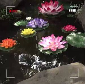 ดอกบัวลอยน้ำ ดอกบัวปลอมสำหรับลอยน้ำ ตกแต่งอ่างปลา อ่างบัว