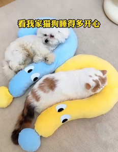 Pet Pillow Plush Bed in Question Mark Design