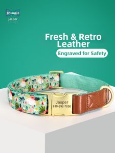 JINLINGJIE | Engraving Small Dog Collar For Outdoors