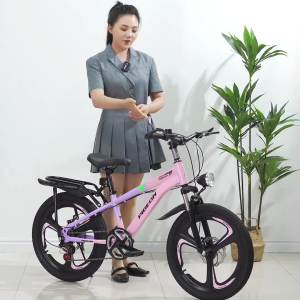 Kids Bicycle Balance Bike Bike With Training Children Bicycle Primary School Student 6-15 Years Old Male Middle and Older Children Variable Speed Teenagers 20-Inch Mountain Pedal