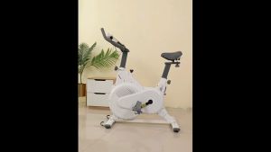 ADSports Home Fitness Equipment Spin Bicycle Exercise Machine Silent Exercise Spinning Bike Indoor Bicycle AD750