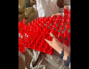 Egg Storage 30 Eggs can hold  Egg Tray reused Bekas Telur can be stacked Tray Telur easy to clean