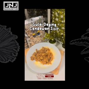 Cendawan Kukur @ Kulat Sisir Kering