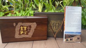 20 con Đông trùng Hạ thảo Tây Tạng size 4 Hộp quà tặng Đông trùng Hạ thảo cao cấp