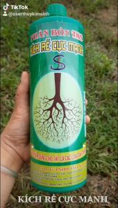 KÍCH RỄ CỰC MẠNH TKS: Kích Ra Rễ Nhanh Khỏe Đâm Chồi Đẻ Nhánh  - Chai 1 Lít