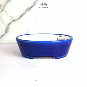 The Leaferie Bonsai Tally (Series 10) Oval flowerpot flowerpots flower pot planter planters ceramic