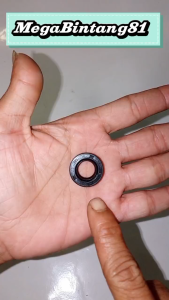 Oil seal crankshaft seal krek kruk as sil mesin potong rumput BG328 12 22 7 SMALL