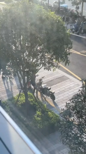 Sarung Jok Motor/Jaring Sarung Cover Jok Motor Alas Duduk/TAHAN PANAS TEBAL/S M L XL XXL Universal TOKOYY