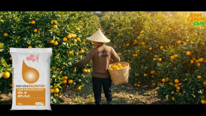 Pupuk Kalium Nitrat KNO3 Meroke KALINITRA 1kg