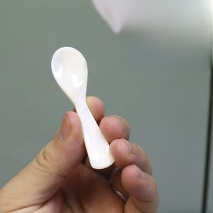 Natural Shell Spoon Southeast Asia Caviar Pearl Mother of Pearl Dessert Coffee Seasoning Small Spoon Utensils Dining Tableware