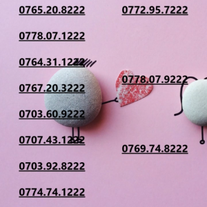 Sim Mobifone tam hoa 222 tăng vận khí thu hút vận may hanh thông sự nghiệp data180GB [SIM CHƯA KÍCH HOẠT PHẢI ĐK)