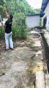 KEELAT Fruit Picker 1.4-3 Meters Extendable High-altitude Fruit Garden Scissors Telescopic Tree Pruning Branch Shears Cutter Saw