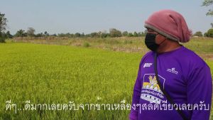 แมกม่า& ปุ๋ยลาวา Maxma-Lawa (ชุดเล็ก) 2 ขวด สารจับใบแมกม่า บรรจุ 250 cc. และ ปุ๋ยน้ำลาวา บรรจุ 500 cc. เป็นชุดเล็กสุดคุ้ม แมกม่าปุ๋ย ปุ๋ยแมกม่า - Lazada