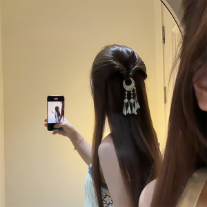 Elegant Ancient Chinese Style Hairpins for Women Tassel Hair Accessories Silver Plated Alloy Hanfu Headwear Retro Hair Clips