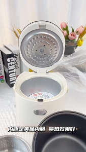 SG【ReadyStock】Zemkon Electric Rice Cooker EcoMode ChillReheat RecipeBook FreeOpenLid DiabeticRice ClayInterior