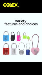 COLEX Luggage Lock Resettable Travel Padlock Password Lock Luggage Bag Locks With Key Luggage Locker Kunci Mangga 行李锁