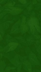 Gel xịt tạo kiểu tóc CHI Helmet Head Extra Firm Hair Spray 284g